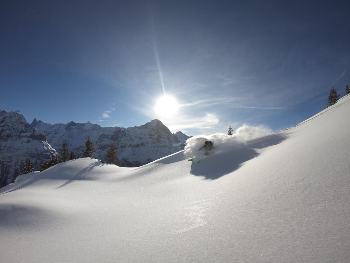 Chalet Pfyffer - Mountain View グリンデルヴァルト エクステリア 写真