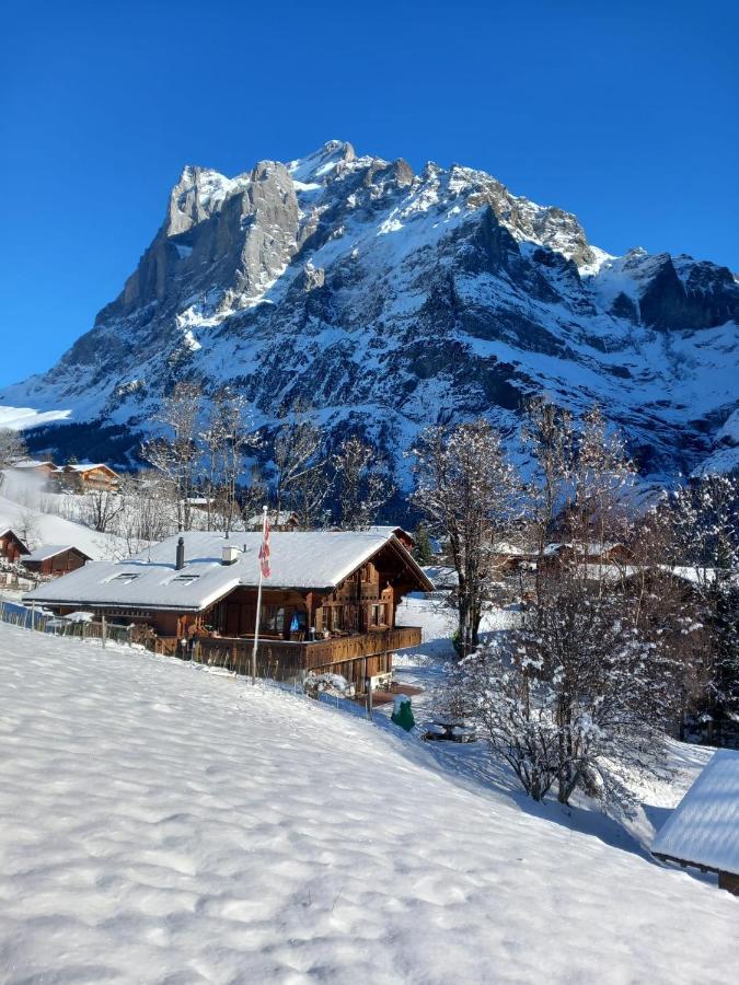 Chalet Pfyffer - Mountain View グリンデルヴァルト エクステリア 写真